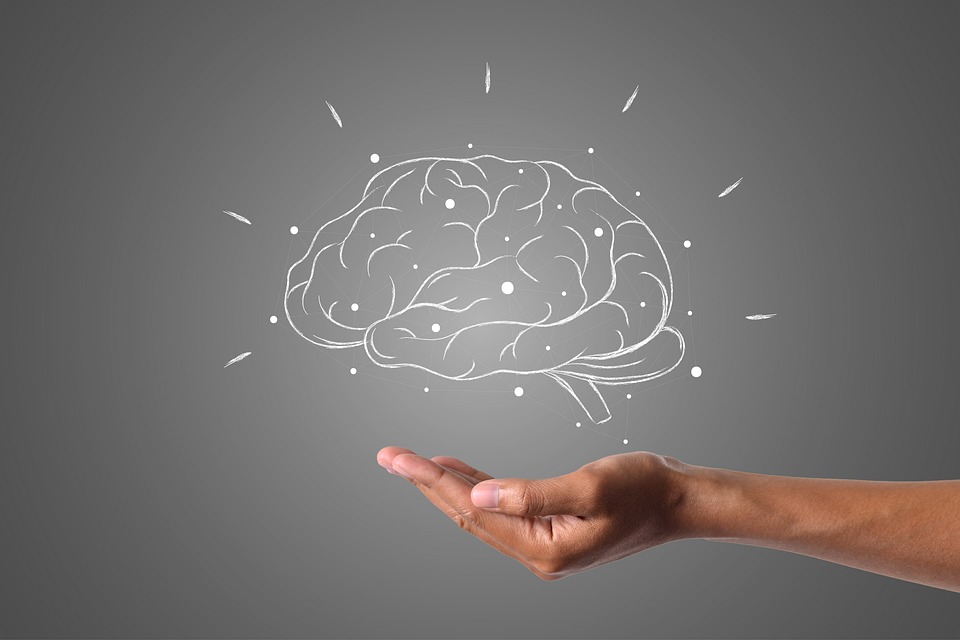 brain-4961452_960_720 brain-4961452_960_720